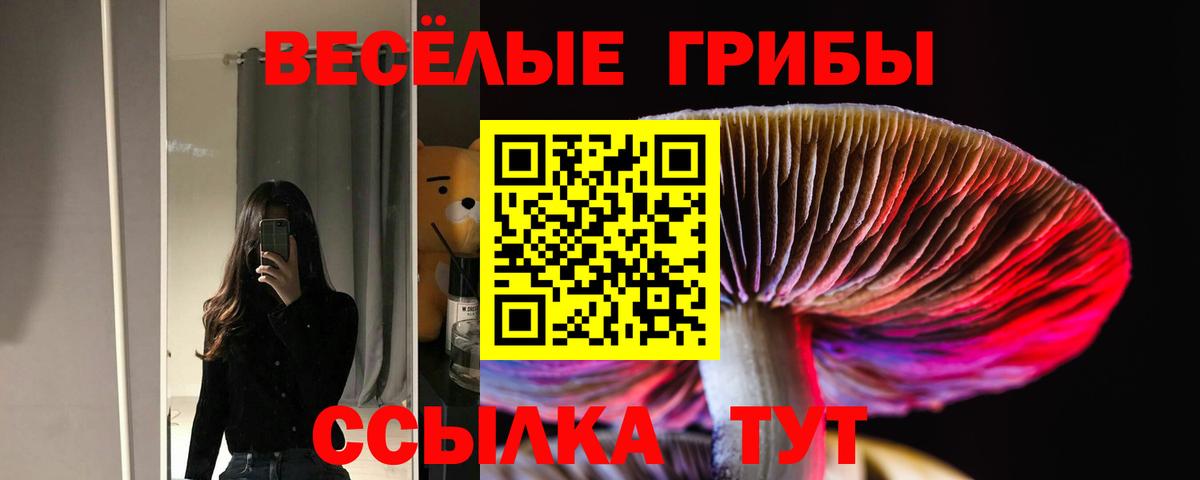 Галлюциногенные грибы ЛСД Грозный